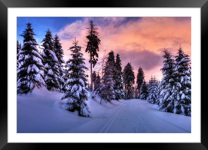 Winter Wonderland Framed Mounted Print by Steffen Gierok-Latniak