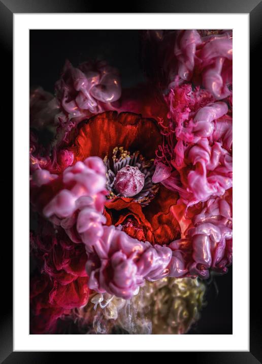 Liquid flower Framed Mounted Print by Steffen Gierok-Latniak