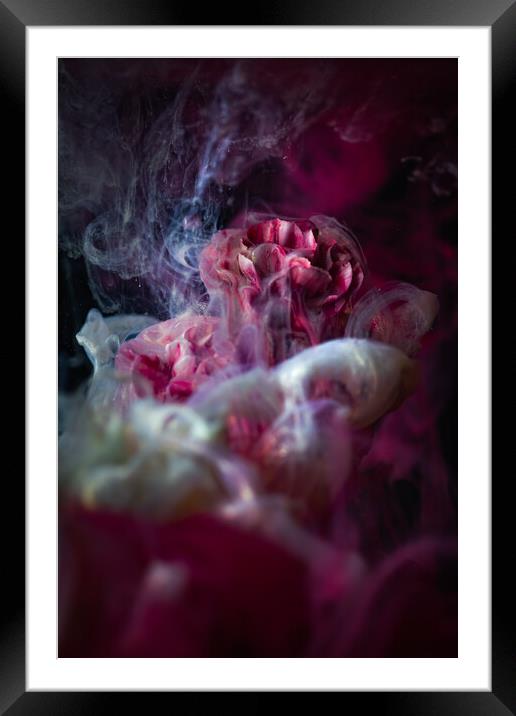 Magical Flower 2 Framed Mounted Print by Steffen Gierok-Latniak