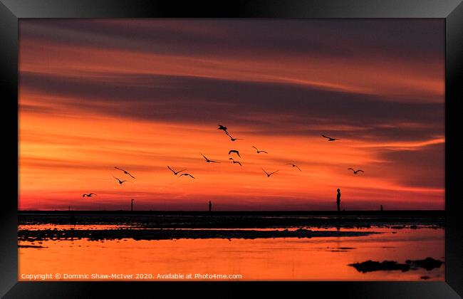 Birds Fly Framed Print by Dominic Shaw-McIver