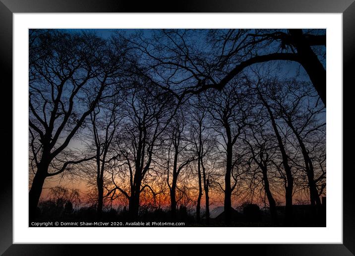 Winter wood sunrise Framed Mounted Print by Dominic Shaw-McIver