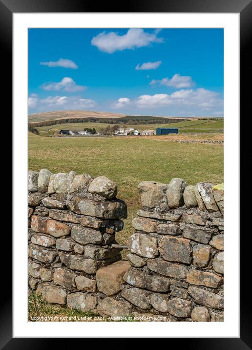 Path to Langdon Beck, Teesdale  Framed Mounted Print by Richard Laidler