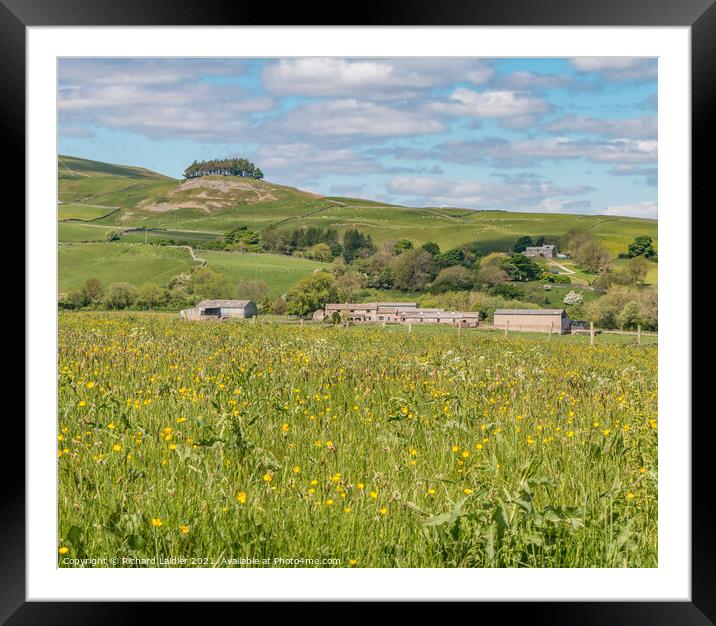 Kirkcarrion and Flower Meadows Framed Mounted Print by Richard Laidler