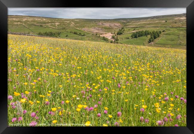 Flowering Hay Meadow at Club Gill  Framed Print by Richard Laidler