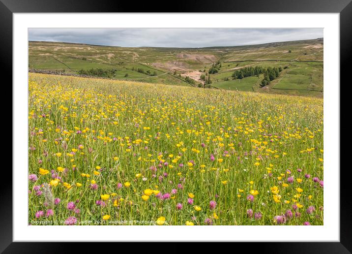 Flowering Hay Meadow at Club Gill  Framed Mounted Print by Richard Laidler