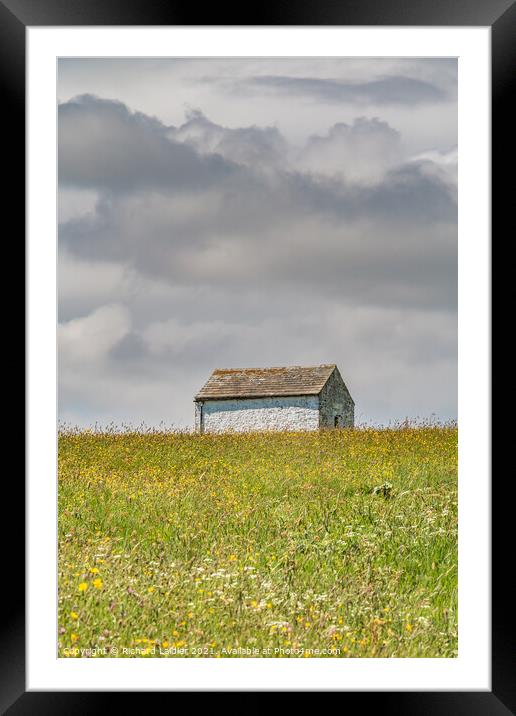 Barn in a Hay Meadow Framed Mounted Print by Richard Laidler