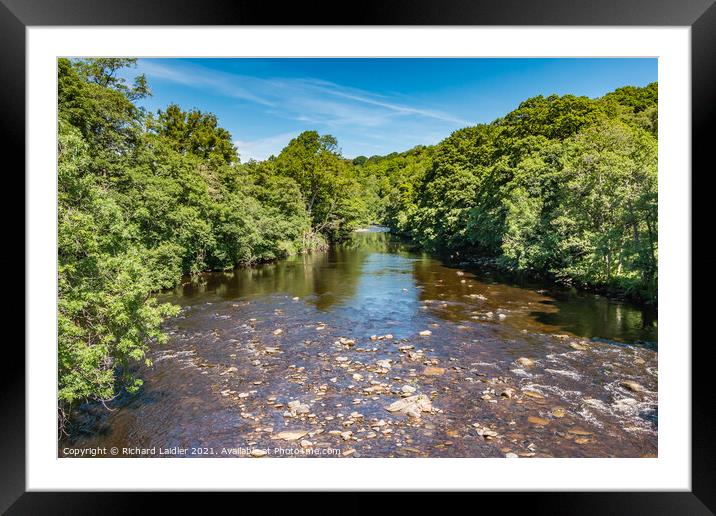 Summer on the River Tees at Cotherstone Framed Mounted Print by Richard Laidler