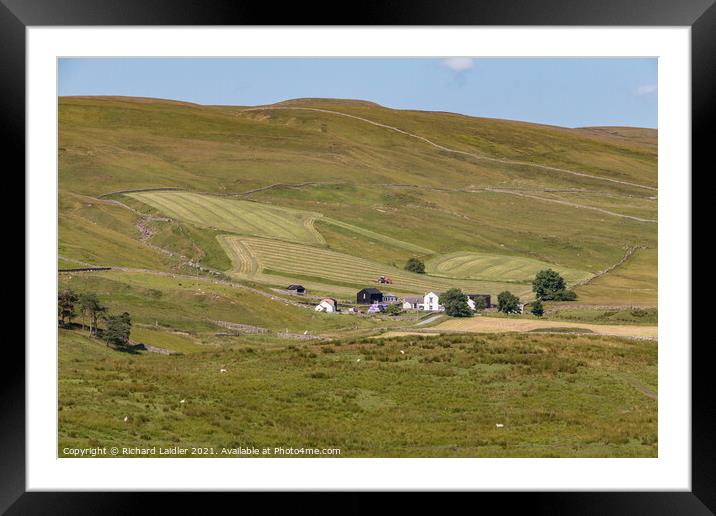 Haytime at Marshes Gill, Teesdale Framed Mounted Print by Richard Laidler