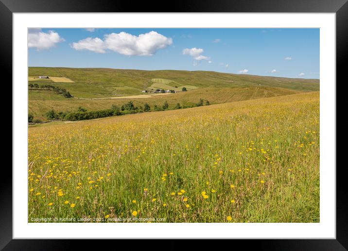Harwood Hay Meadow  Framed Mounted Print by Richard Laidler