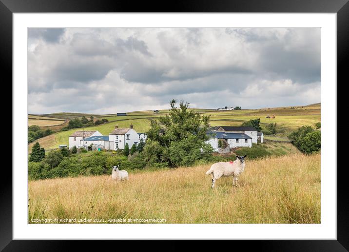 Bank Top Farm, Ettersgill, Teesdale Framed Mounted Print by Richard Laidler
