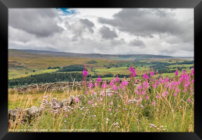 A Shower Arrives at Stable Edge, Teesdale Framed Print by Richard Laidler