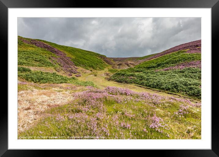 Wire Gill Mine Remains (2) Framed Mounted Print by Richard Laidler