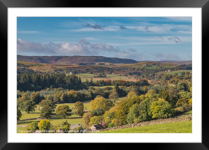 Teesdale in Autumn - Newbiggin to Cronkley Scar Framed Mounted Print by Richard Laidler