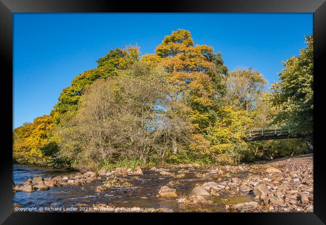 Hudeshope Beck meets the River Tees Framed Print by Richard Laidler