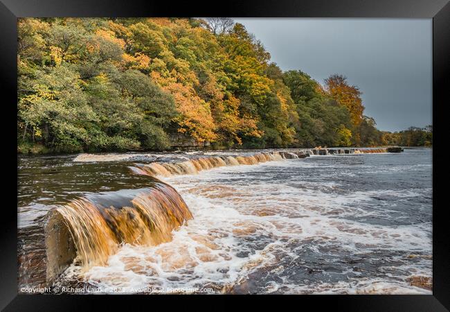 Autumn on the Tees at Whorlton, Teesdale Framed Print by Richard Laidler