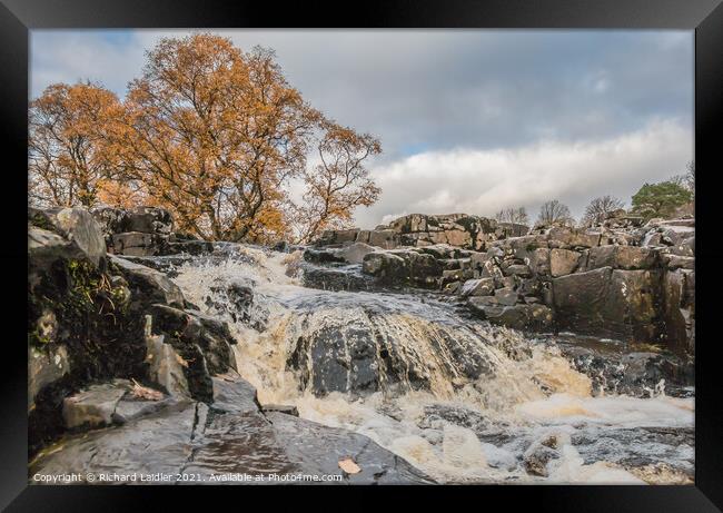 Autumn Brightness at Low Force Waterfall (3) Framed Print by Richard Laidler