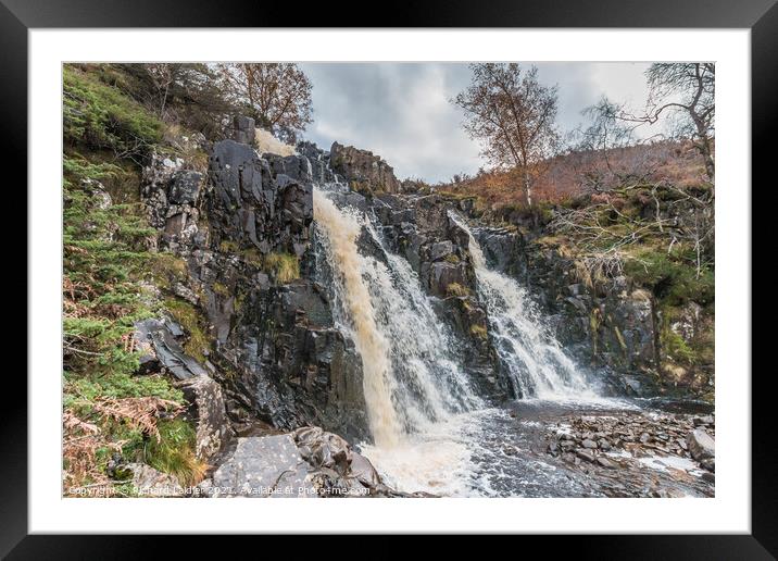 Autumn Brightness at Blea Beck Force, Teesdale Framed Mounted Print by Richard Laidler