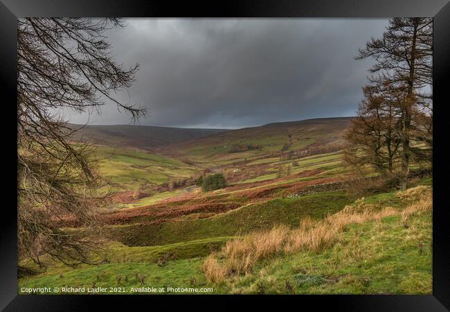 Autumn Bright Interval in the Hudeshope, Teesdale (1) Framed Print by Richard Laidler