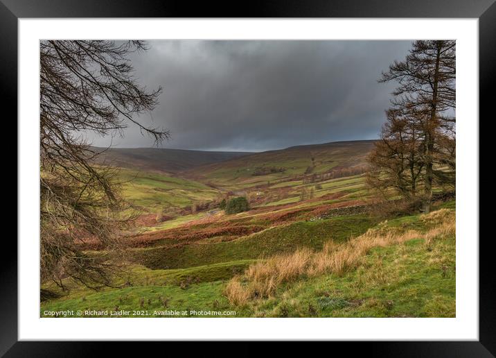Autumn Bright Interval in the Hudeshope, Teesdale (1) Framed Mounted Print by Richard Laidler