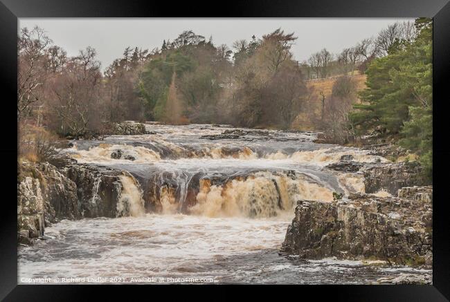 Low Force Waterfall, Teesdale in Flood (1) Framed Print by Richard Laidler