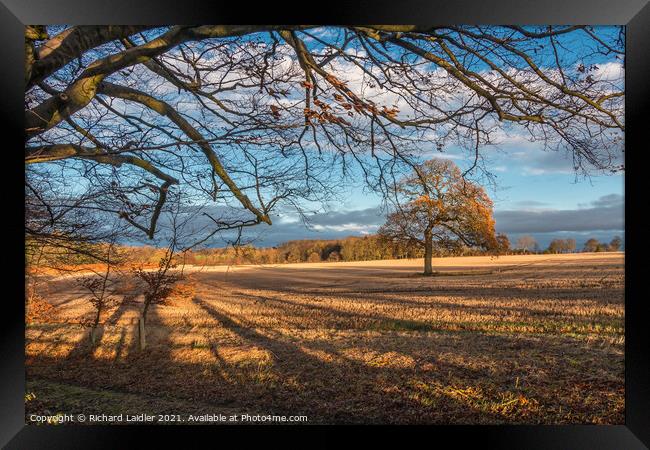 Winter Sun and Shadows at Wycliffe Framed Print by Richard Laidler