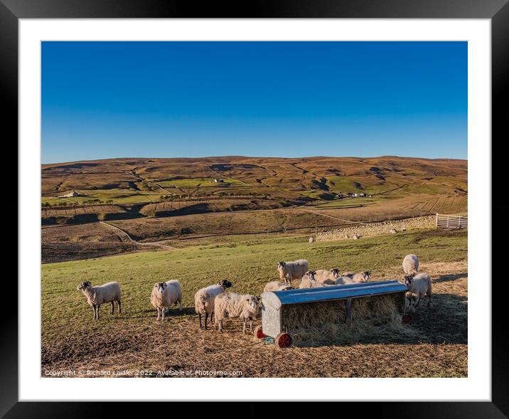 Winter Fodder at Bowes Close Farm Harwood, Teesdale Framed Mounted Print by Richard Laidler