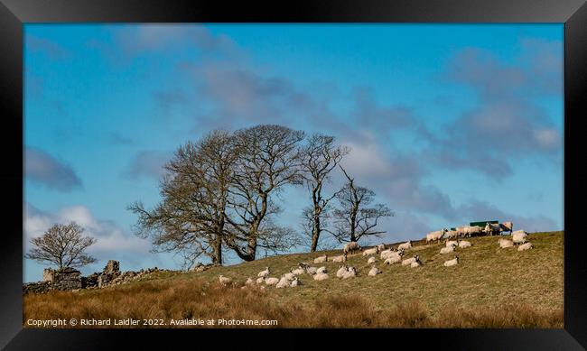 Toddyshaw Hill Mickleton, Teesdale Framed Print by Richard Laidler