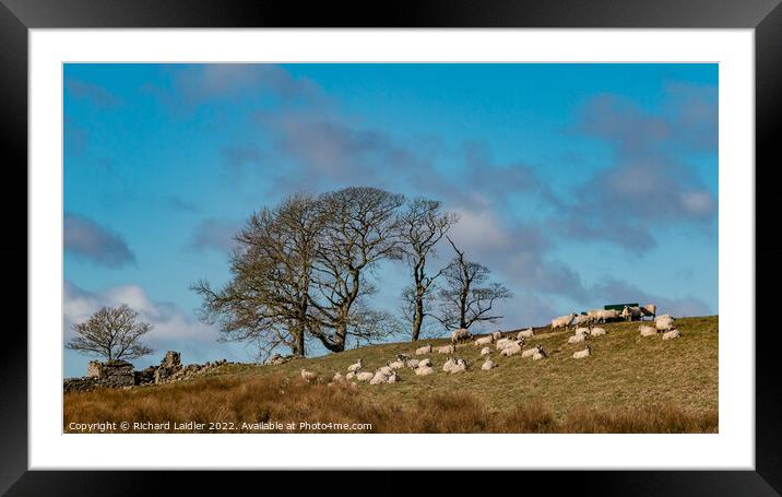 Toddyshaw Hill Mickleton, Teesdale Framed Mounted Print by Richard Laidler