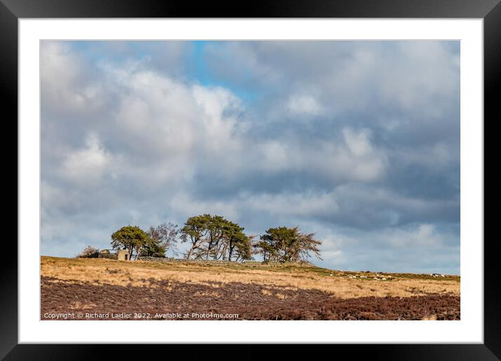 Scarney Hill, Romaldkirk Moor, Teesdale Framed Mounted Print by Richard Laidler