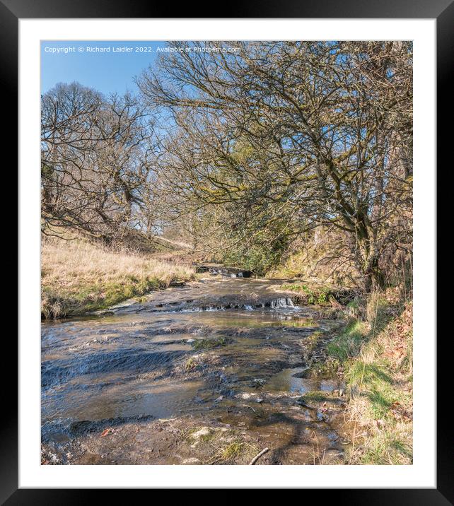 Wilden Beck, Cotherstone, Teesdale Framed Mounted Print by Richard Laidler