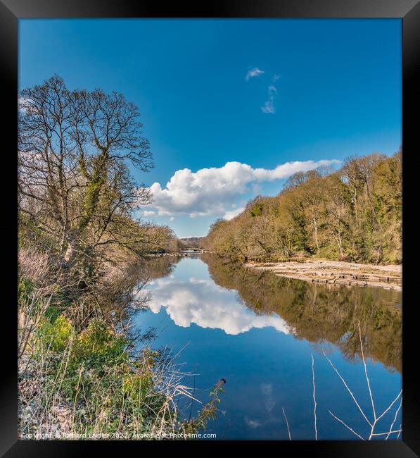 River Tees Mirror at Wycliffe in Early Spring Sunshine Framed Print by Richard Laidler