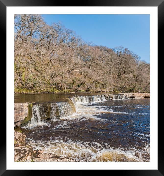 Whorlton Cascades in Spring Sun Framed Mounted Print by Richard Laidler