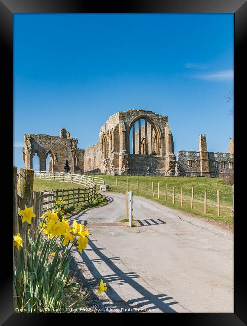 Egglestone Abbey Framed Print by Richard Laidler