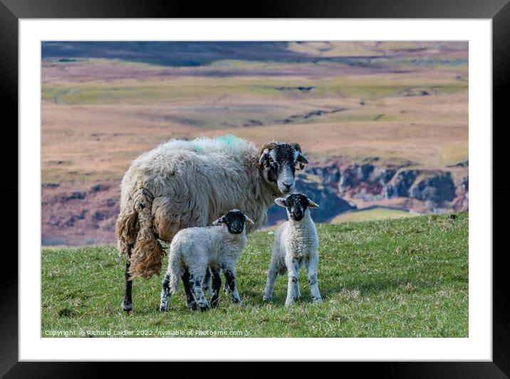 Mum plus Two Framed Mounted Print by Richard Laidler