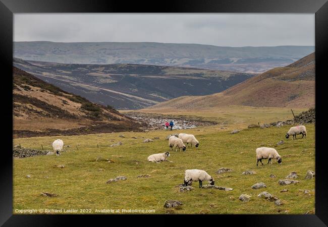 Heading for Cauldron Snout on the Pennine Way, Teesdale Framed Print by Richard Laidler