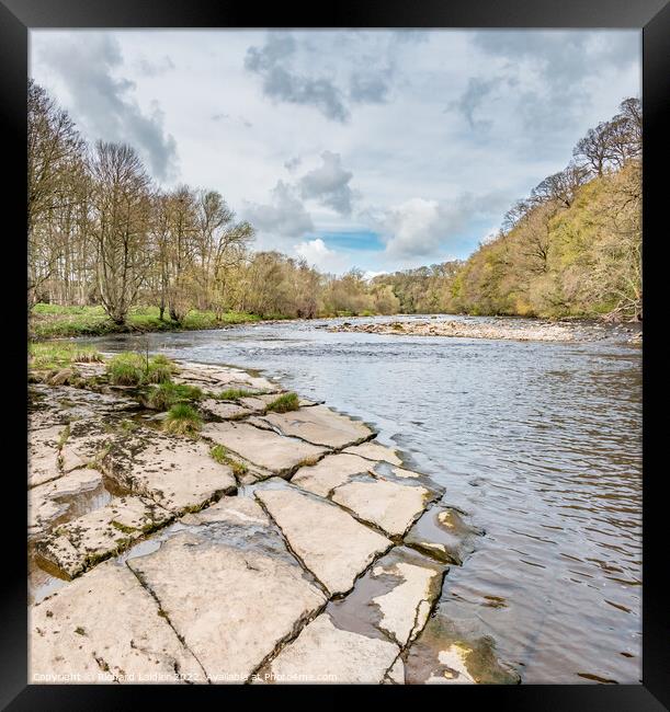The River Tees Upstream from Whorlton in Early Spring Framed Print by Richard Laidler