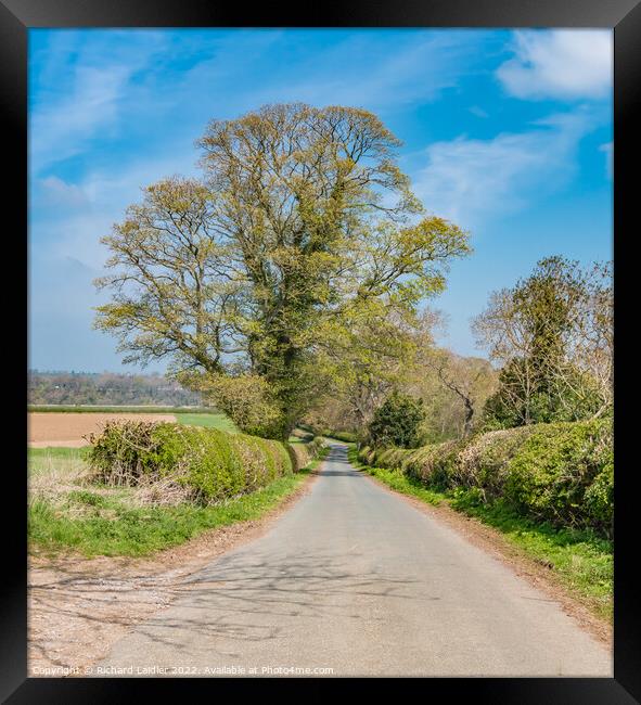 Spring Arrives at Thorpe, Teesdale Framed Print by Richard Laidler