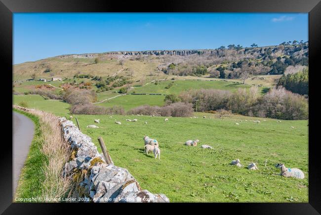 Clints Scar and Orgate Farm from Skelton Lane Framed Print by Richard Laidler