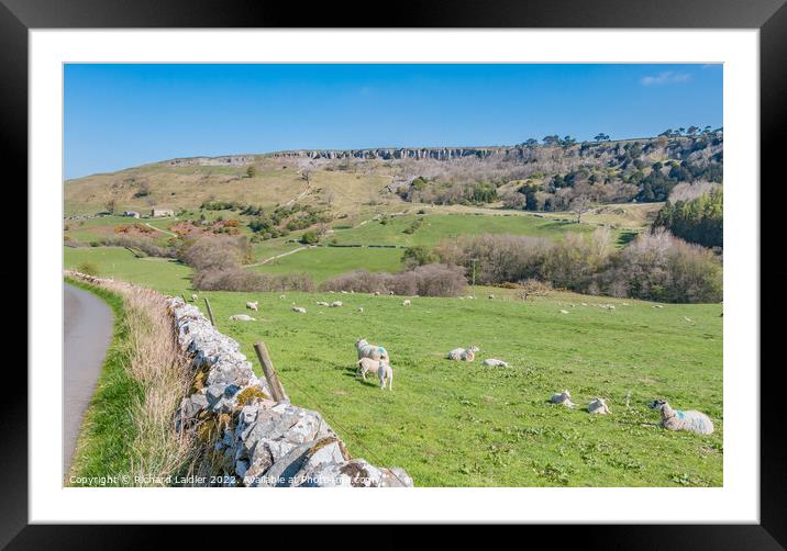 Clints Scar and Orgate Farm from Skelton Lane Framed Mounted Print by Richard Laidler