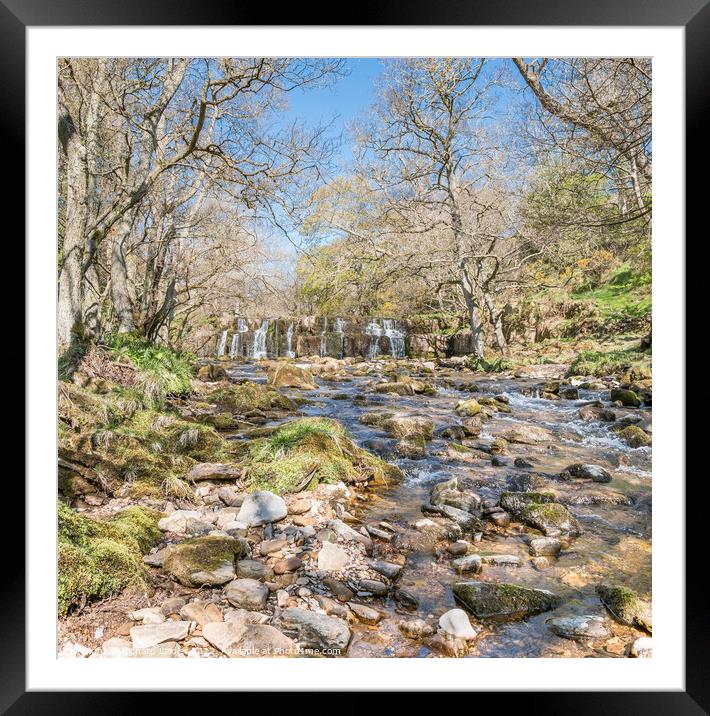 Orgate Force Waterfall in Spring Sunshine (3) Framed Mounted Print by Richard Laidler