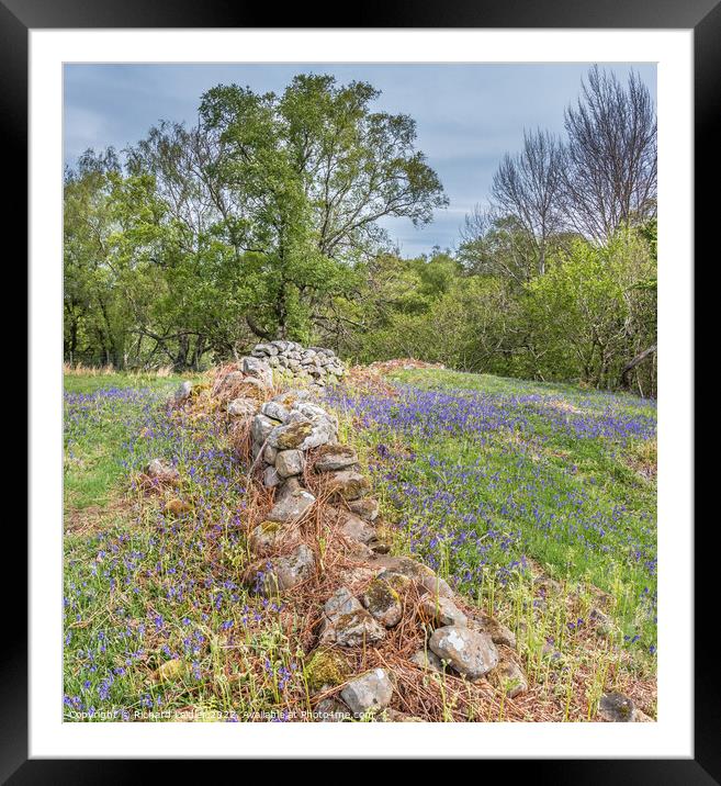 Bluebells at Low Force (3) Framed Mounted Print by Richard Laidler