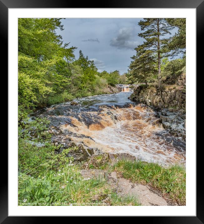Spring at Low Force Waterfall, Teesdale Framed Mounted Print by Richard Laidler