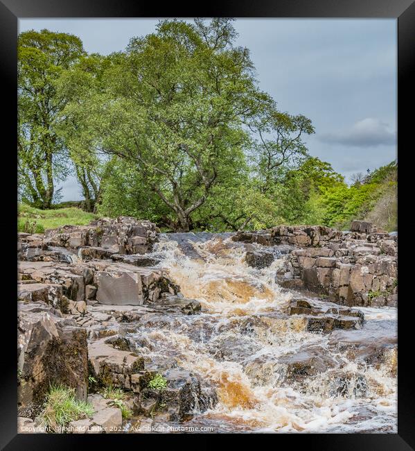 Spring Cascade at Low Force Waterfall, Teesdale Framed Print by Richard Laidler