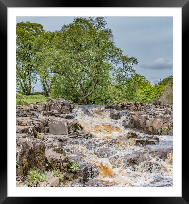 Spring Cascade at Low Force Waterfall, Teesdale Framed Mounted Print by Richard Laidler