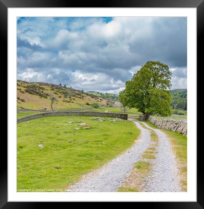 Towards Holwick Head, Teesdale Framed Mounted Print by Richard Laidler