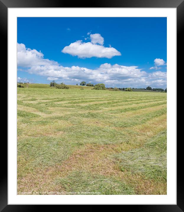 Haymaking at Hutton Magna (3) Framed Mounted Print by Richard Laidler