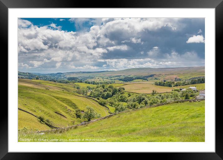 Down Ettersgill towards Holwick, Teesdale Framed Mounted Print by Richard Laidler