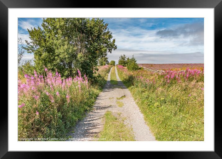 Botany Road, Mickleton, Teesdale Framed Mounted Print by Richard Laidler