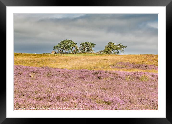 Scarney Hill, Romaldkirk Moor, Teesdale Framed Mounted Print by Richard Laidler