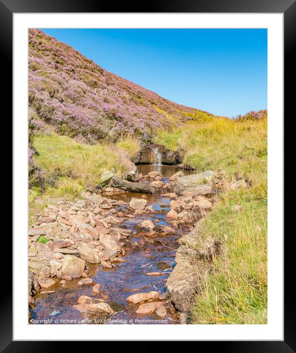 Little Eggleshope Beck, Teesdale Framed Mounted Print by Richard Laidler